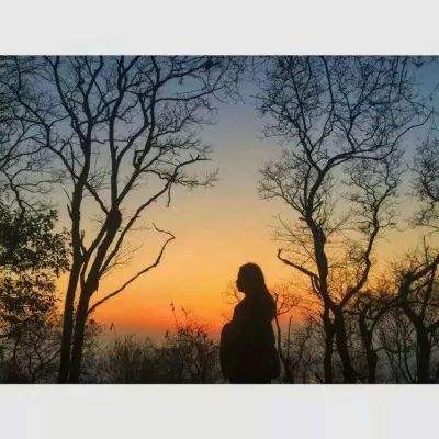 乐鱼app(中国体育)官方网站手机app下载截图