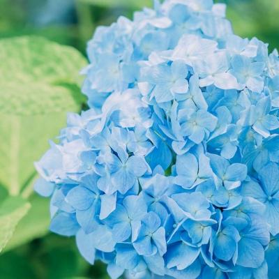 万博manbetx登录下载手机版